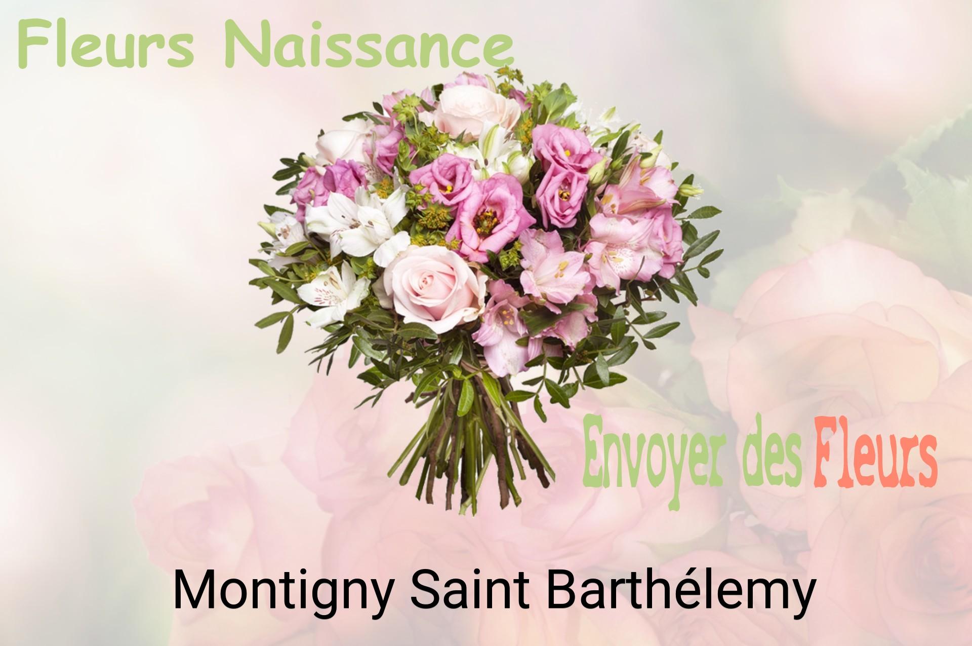 Bouquet de fleurs de naissance livré à Montigny-Saint-Barthélemy